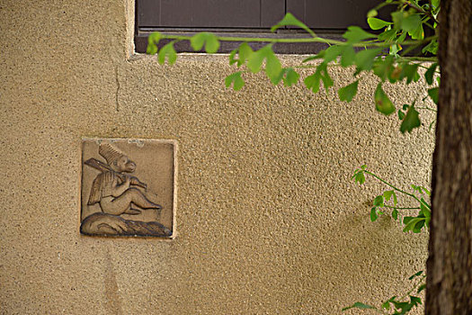 文件夹选项在哪win11系统