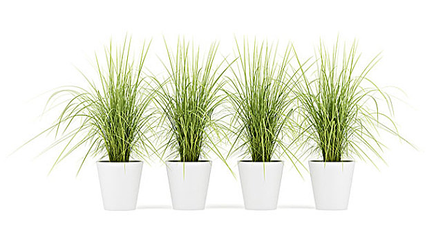 Xp系统如何设置多个管理员同时登陆远程桌面